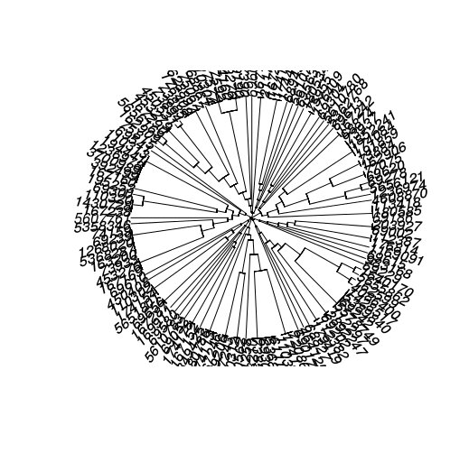 circular dendrogara